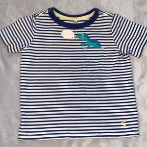 Boys Joules Striped Dinosaur Tee 3 🦖